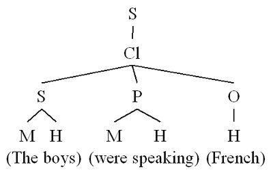 Tree Diagram E: Function labels